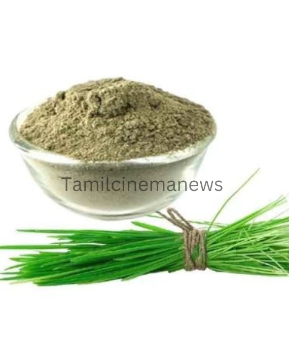 Arugampul Powder Benefits in Tamil