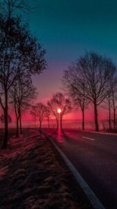 Beauty World
