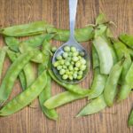 AVARAKKAI BENEFITS IN TAMIL