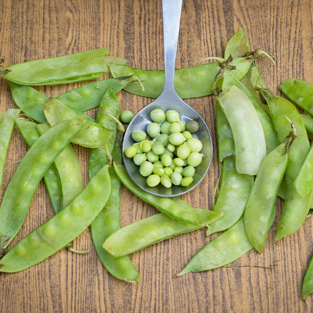 AVARAKKAI BENEFITS IN TAMIL