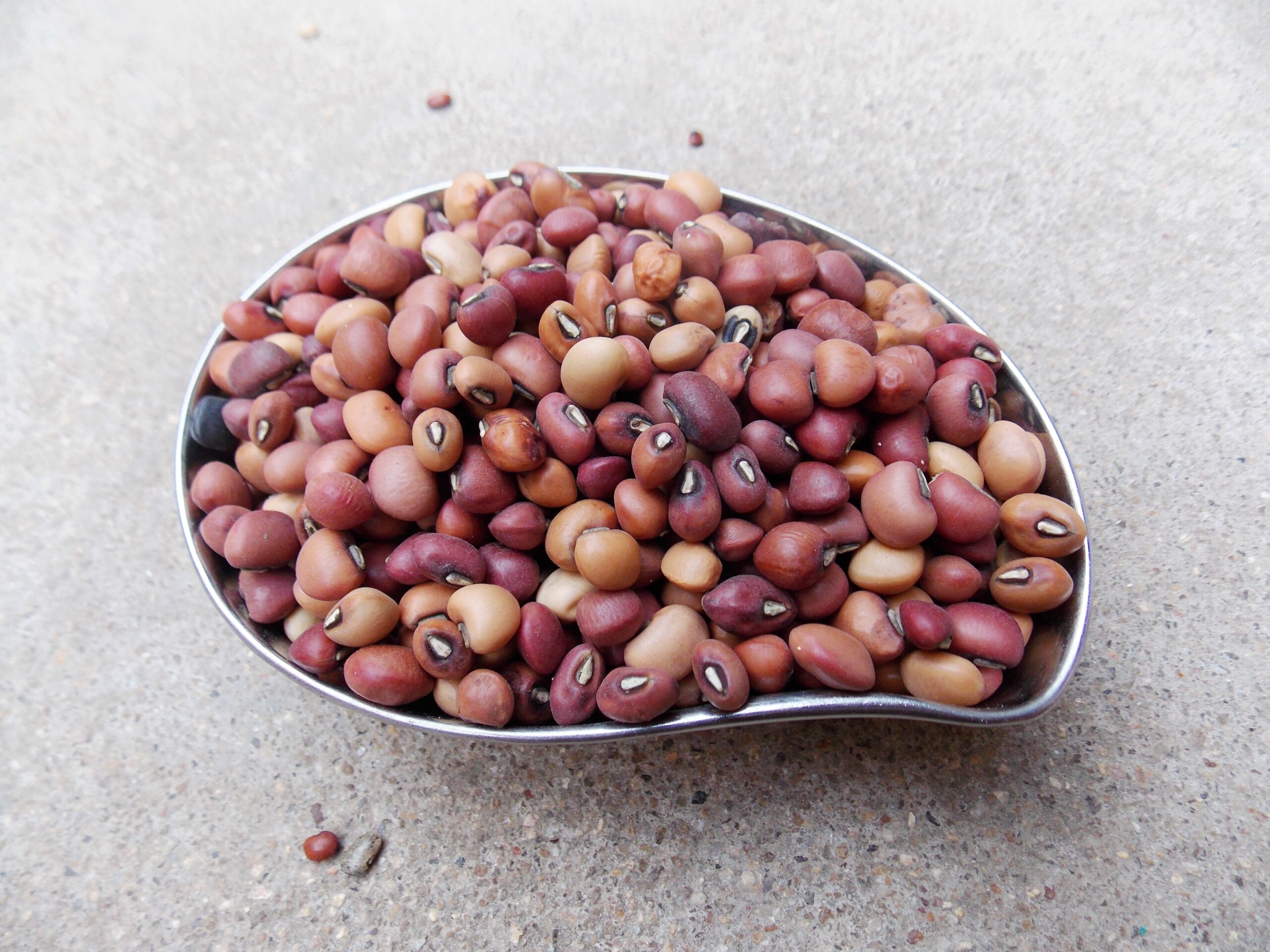 KARAMANI BENEFITS IN TAMIL