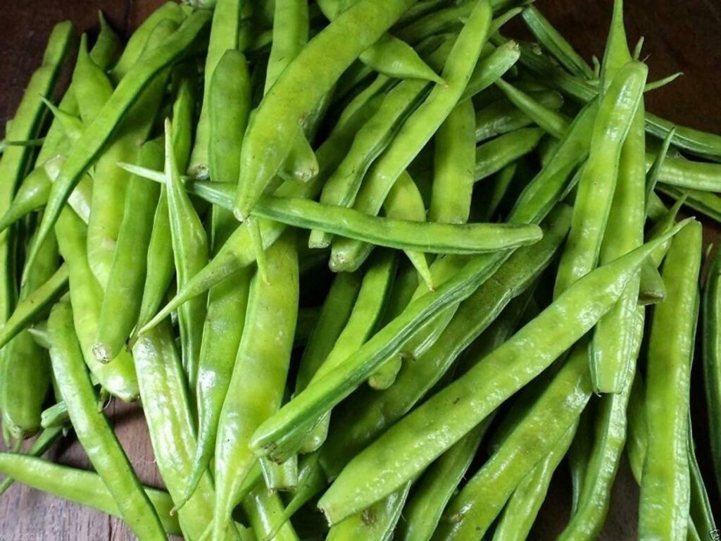 KOTHAVARANGAI BENEFITS IN TAMIL