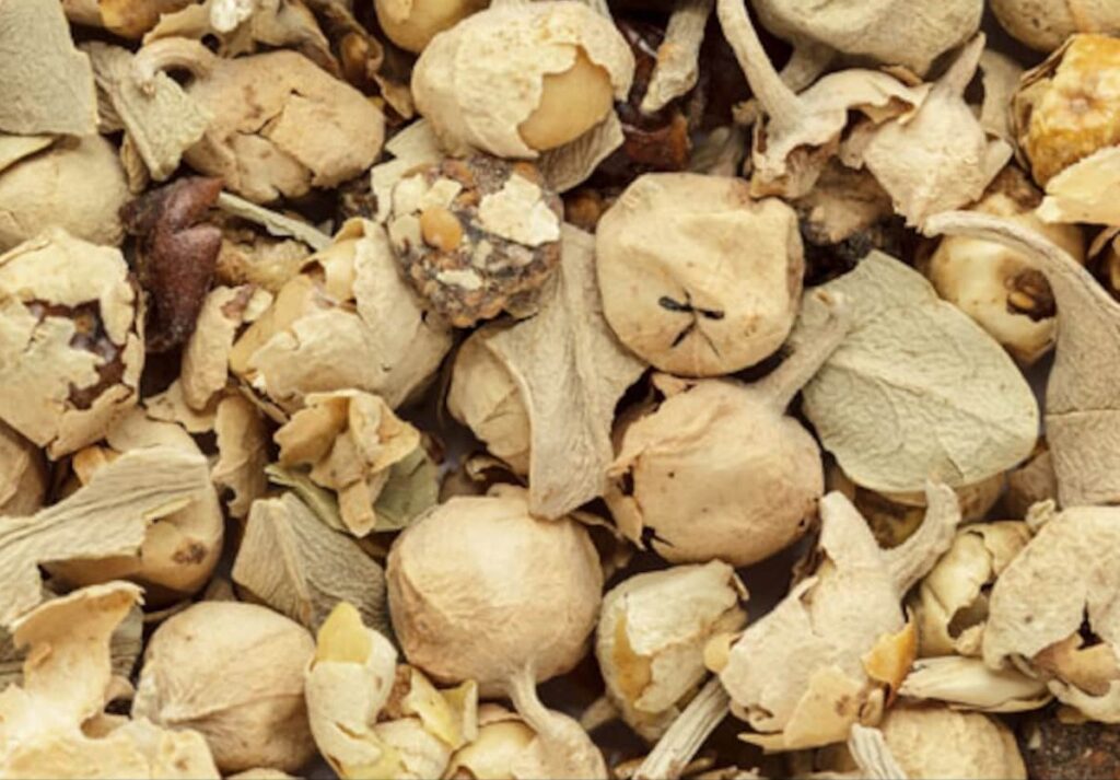 PANEER POO BENEFITS IN TAMIL
