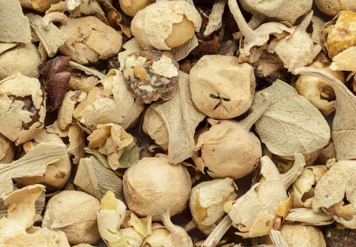 PANEER POO BENEFITS IN TAMIL
