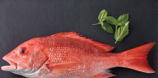 SANKARA FISH BENEFITS IN TAMIL