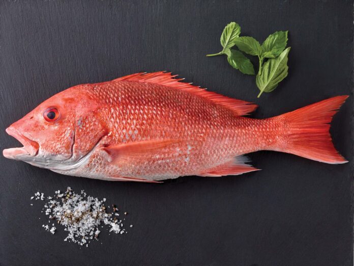SANKARA FISH BENEFITS IN TAMIL