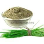 Arugampul Powder Benefits in Tamil