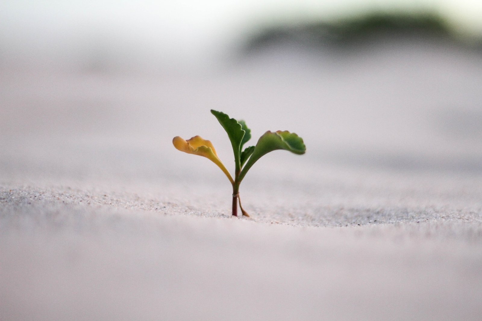 jeremy bishop vGjGvtSfys4 unsplash