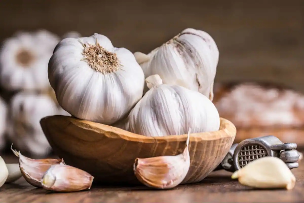 HEALTH BENEFITS OF GARLIC IN TAMIL