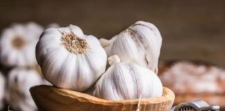 HEALTH BENEFITS OF GARLIC IN TAMIL