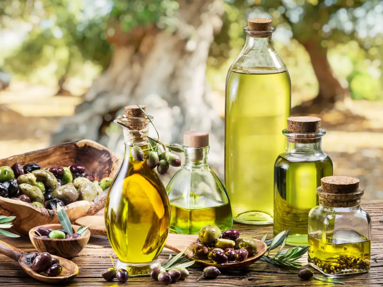 HEALTH BENEFITS OF OLIVE OIL 