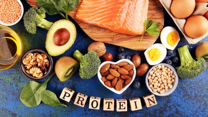 Why is protein important in your diet