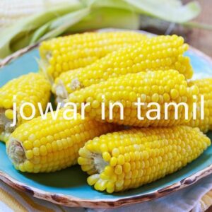 jowar in tamil