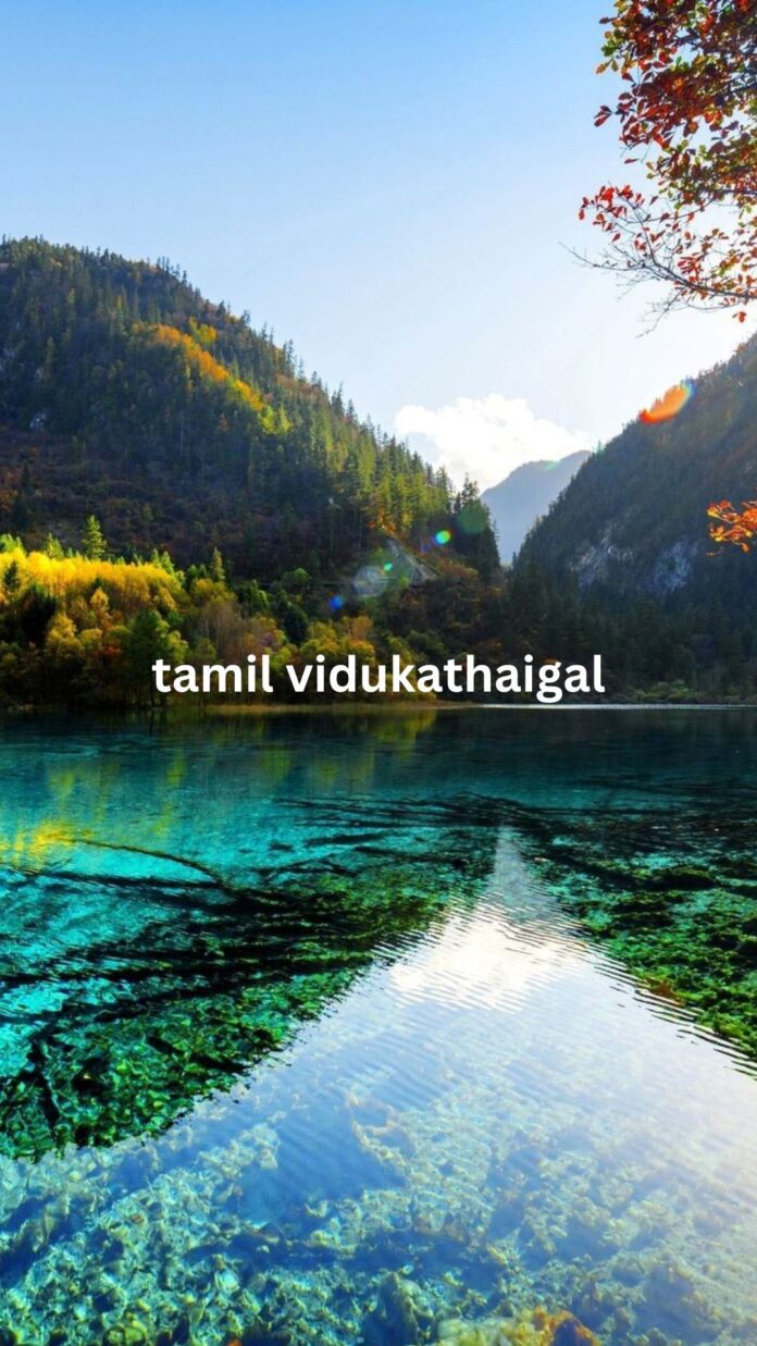 tamil vidukathaikal
