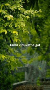 tamil vidukathaikal