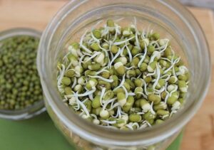 mulaikattiya pachai payaru benefits in tamil