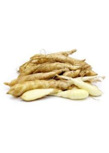 arrowroot in tamil