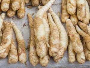 arrowroot in tamil