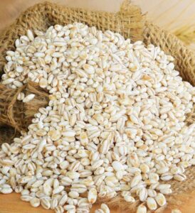 barley rice benefits in tamil