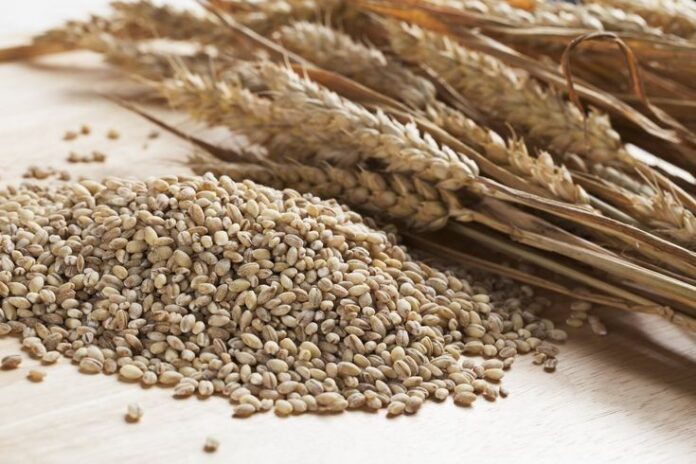 barley rice in tamil