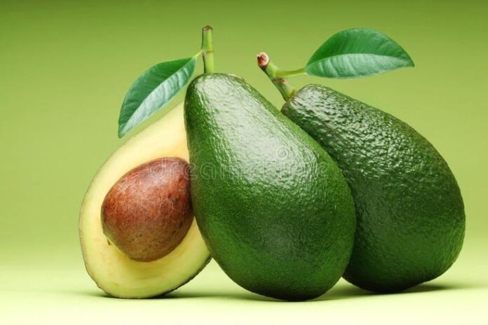 avocado fruit in tamil