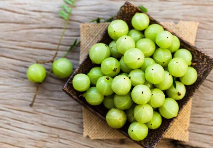 gooseberry in tamil