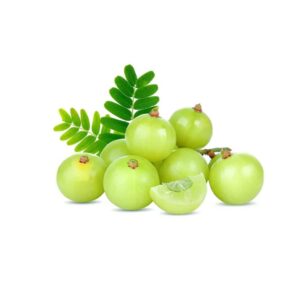 gooseberry in tamil