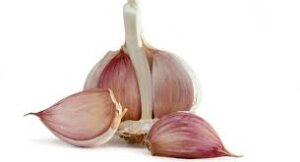 garlic benifits in tamil