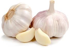 garlic benifits in tamil