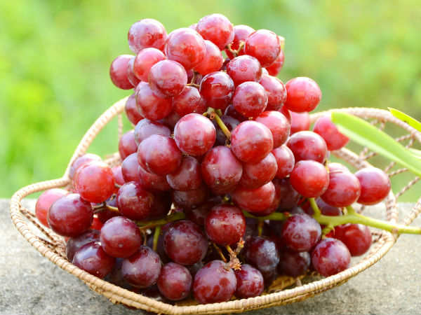 Black Grapes benefits in tamil|பன்னீர் திராட்சை பயன்கள்