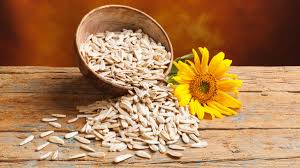sunflower seeds in tamil